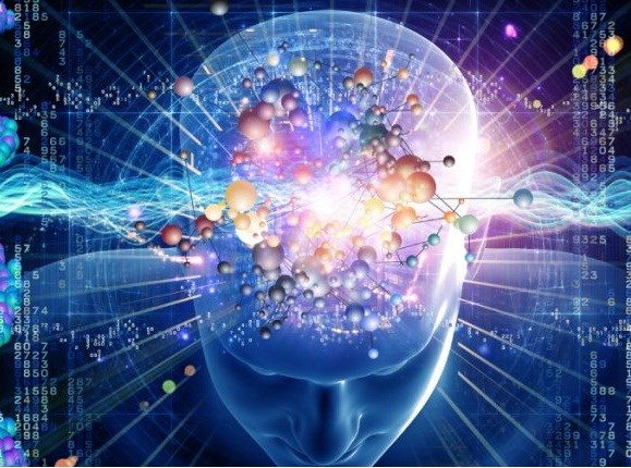 Hình ảnh 11 Hình ảnh 11